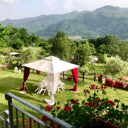 Agriturismo Il Frutteto Ghivizzano Luaran gambar